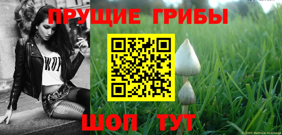 Галлюциногенные грибы Magic Shrooms  Вход с VPN  Сегежа 