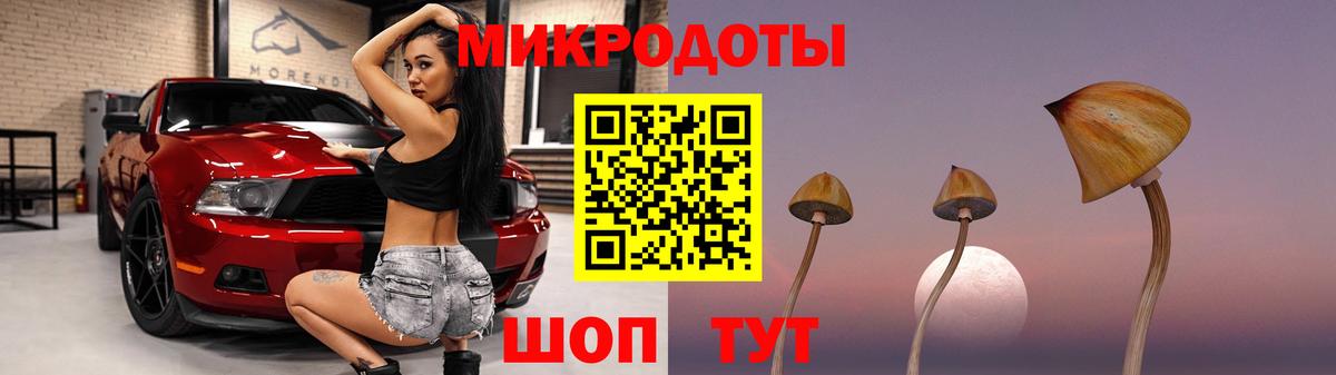 Псилоцибиновые грибы GOLDEN TEACHER Сегежа